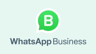 Whatsapp Business play-hub-apk