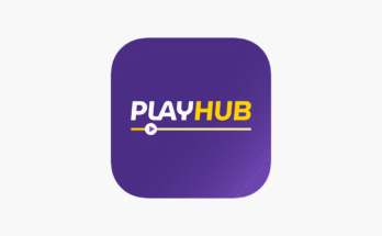 PlayHub APK for PC – Step-by-Step Installation Guide